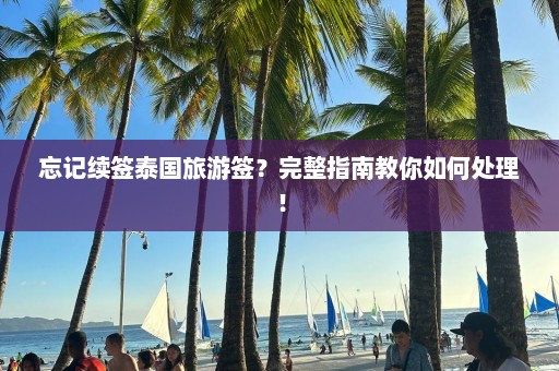 忘记续签泰国旅游签？完整指南教你如何处理！