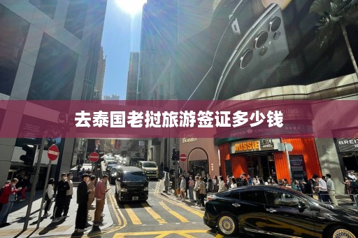 去泰国老挝旅游签证多少钱