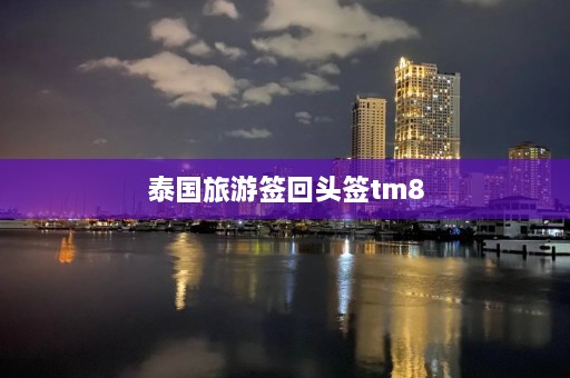 泰国旅游签回头签tm8  第1张