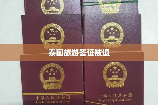 泰国旅游签证被退