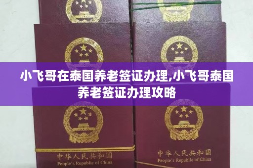 小飞哥在泰国养老签证办理,小飞哥泰国养老签证办理攻略