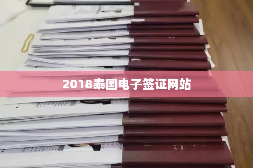 2018泰国电子签证网站  第1张