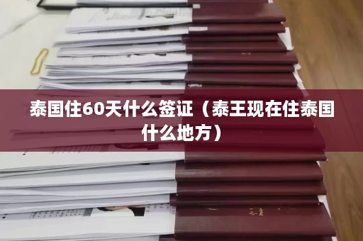 泰国住60天什么签证（泰王现在住泰国什么地方）  第1张