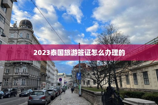 2023泰国旅游签证怎么办理的