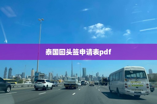 泰国回头签申请表pdf