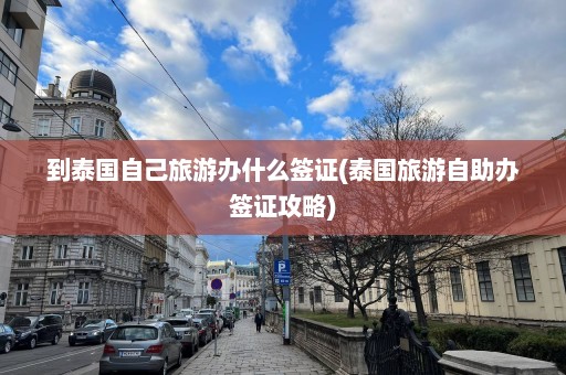 到泰国自己旅游办什么签证(泰国旅游自助办签证攻略)