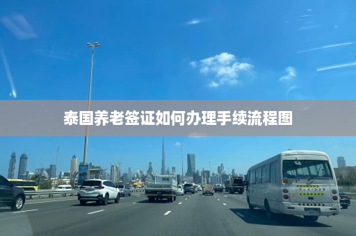 泰国养老签证如何办理手续流程图