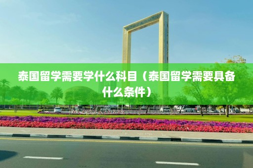 泰国留学需要学什么科目（泰国留学需要具备什么条件）