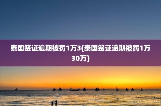 泰国签证逾期被罚1万3(泰国签证逾期被罚1万30万)