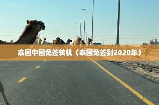 泰国中国免签转机（泰国免签到2020年）