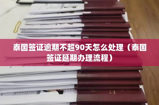 泰国签证逾期不超90天怎么处理（泰国签证延期办理流程）  第1张