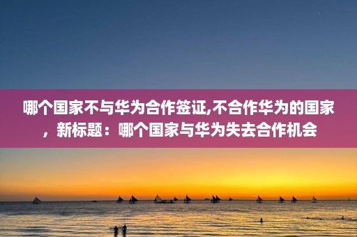 哪个国家不与华为合作签证,不合作华为的国家，新标题：哪个国家与华为失去合作机会