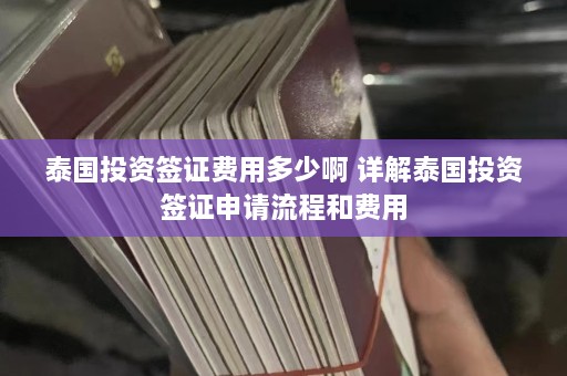 泰国投资签证费用多少啊 详解泰国投资签证申请流程和费用  第1张