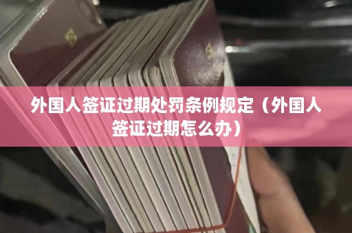 外国人签证过期处罚条例规定（外国人签证过期怎么办）