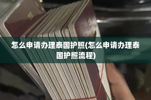 怎么申请办理泰国护照(怎么申请办理泰国护照流程)  第1张