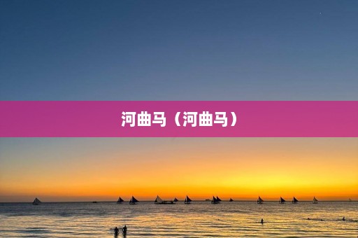 河曲马（河曲马）