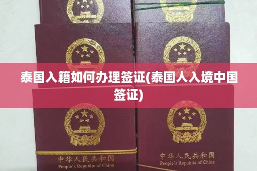 泰国入籍如何办理签证(泰国人入境中国签证)  第1张