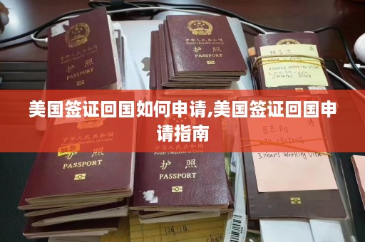 美国签证回国如何申请,美国签证回国申请指南  第1张