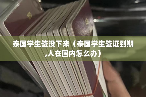 泰国学生签没下来（泰国学生签证到期,人在国内怎么办）