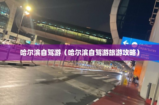 哈尔滨自驾游（哈尔滨自驾游旅游攻略）