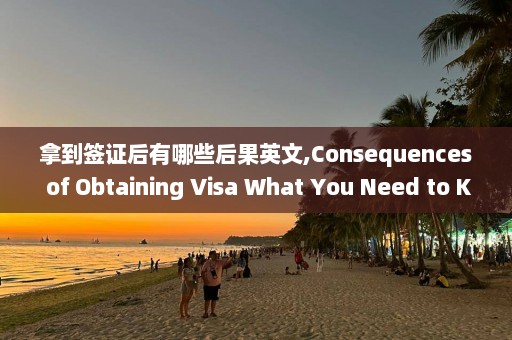 拿到签证后有哪些后果英文,Consequences of Obtaining Visa What You Need to Know