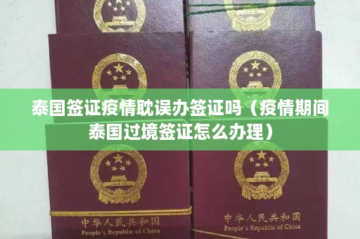 泰国签证疫情耽误办签证吗（疫情期间泰国过境签证怎么办理）  第1张