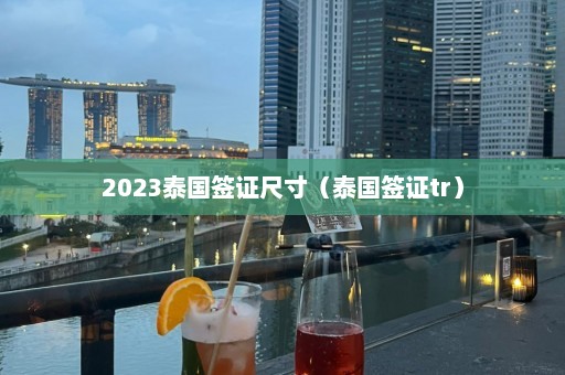 2023泰国签证尺寸（泰国签证tr）