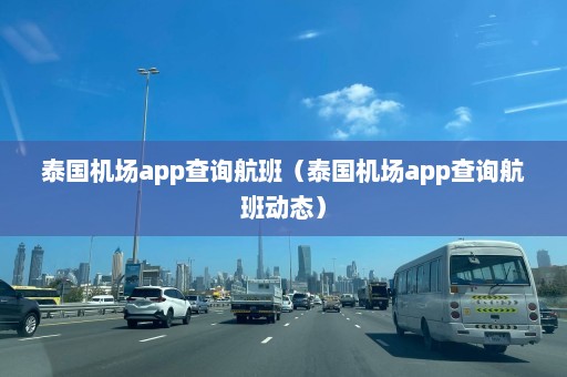 泰国机场app查询航班（泰国机场app查询航班动态）