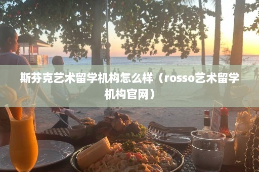 斯芬克艺术留学机构怎么样（rosso艺术留学机构官网）