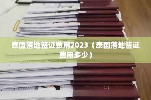 泰国落地签证费用2023（泰国落地签证费用多少）  第1张