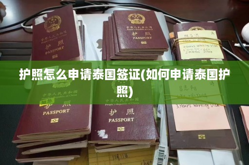 护照怎么申请泰国签证(如何申请泰国护照)