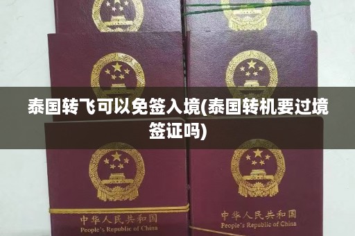 泰国转飞可以免签入境(泰国转机要过境签证吗)  第1张