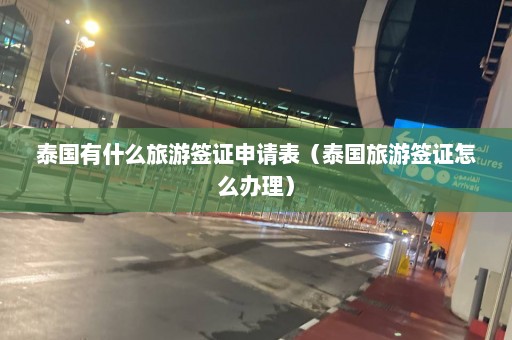 泰国有什么旅游签证申请表（泰国旅游签证怎么办理）