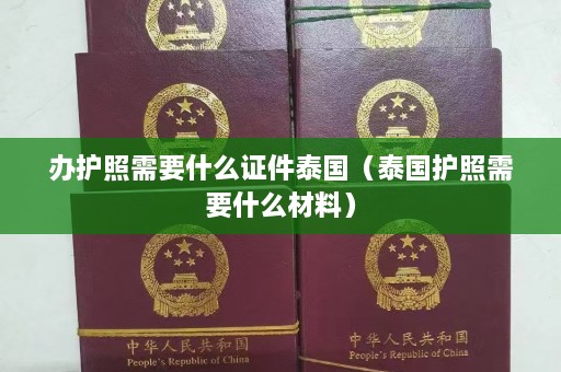 办护照需要什么证件泰国（泰国护照需要什么材料）  第1张