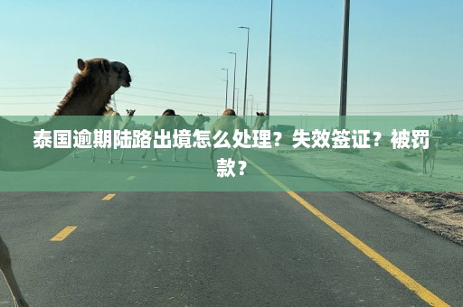 泰国逾期陆路出境怎么处理？失效签证？被罚款？