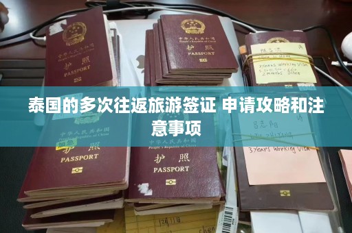 泰国的多次往返旅游签证 申请攻略和注意事项  第1张