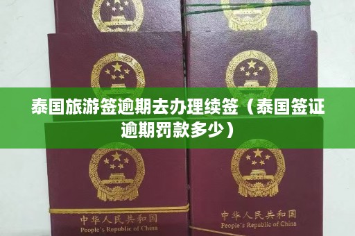 泰国旅游签逾期去办理续签（泰国签证逾期罚款多少）  第1张