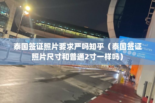 泰国签证照片要求严吗知乎（泰国签证照片尺寸和普通2寸一样吗）  第1张