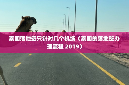 泰国落地签只针对几个机场（泰国的落地签办理流程 2019）