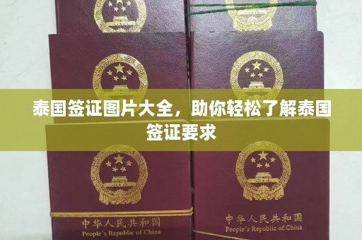 泰国签证图片大全，助你轻松了解泰国签证要求