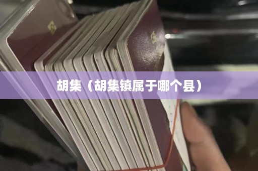 胡集（胡集镇属于哪个县）  第1张