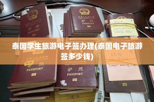 泰国学生旅游电子签办理(泰国电子旅游签多少钱)  第1张