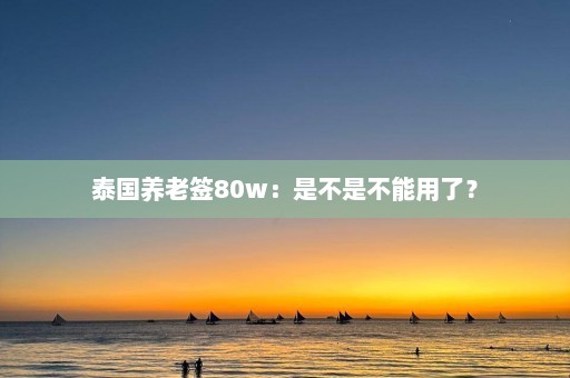 泰国养老签80w：是不是不能用了？  第1张