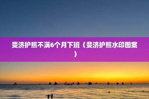 斐济护照不满6个月下班（斐济护照水印图案）