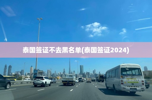 泰国签证不去黑名单(泰国签证2024)