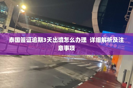 泰国签证逾期3天出境怎么办理  详细解析及注意事项