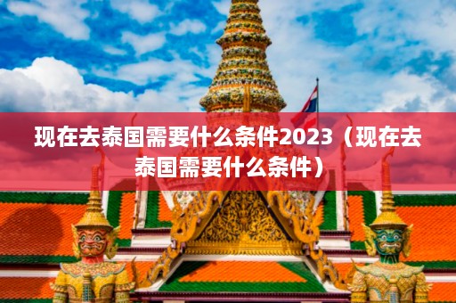 现在去泰国需要什么条件2023（现在去泰国需要什么条件）