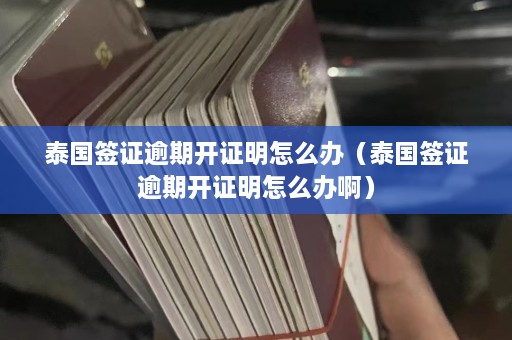 泰国签证逾期开证明怎么办（泰国签证逾期开证明怎么办啊）  第1张