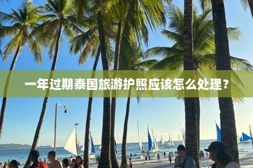 一年过期泰国旅游护照应该怎么处理？  第1张