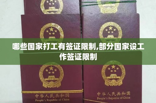 哪些国家打工有签证限制,部分国家设工作签证限制  第1张